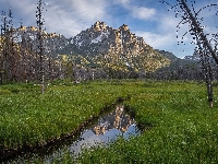 Góra McGown Peak, Stany Zjednoczone, Potok, Drzewa, Rzeka, Góry, Łąka, Stan Idaho