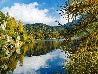 Jezioro, Góry, Las, Skały