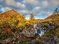 Buachaille Etive Mor, Strumień, Drzewa, Góra, Szkocja, Jesień, Region Highland, Rzeczka, Góry, Skały, Krzewy