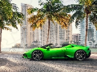 Lamborghini Huracan, Zielone, Palmy