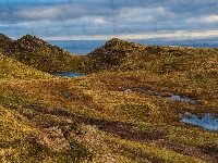 Skała, Jezioro, Trawya, Góry, Kałuże, Pożółkła
