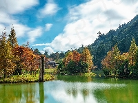 Drzewa, Jezioro, Wzgórze, Park