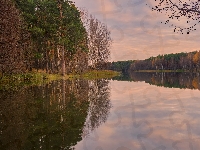 Drzewa, Jezioro, Odbicie, Jesień, Las, Brzozy