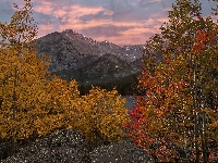 Góry Skaliste, Drzewa, Stany Zjednoczone, Jezioro Bear Lake, Jesień, Park Narodowy Gór Skalistych, Kolorado