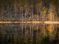Jesień, Odbicie, Las, Jezioro, Drzewa