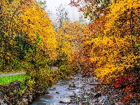 Kolorowe, Jesień, Rzeka, Droga, Drzewa