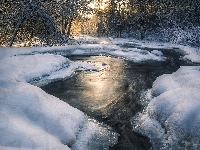 Śnieg, Zima, Rzeka, Las