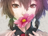 Manga, Dziewczyna, Kwiat, Anime