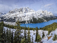 Zima, Kanada, Jezioro Peyto Lake, Góry, Park Narodowy Banff