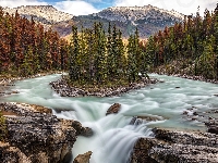 Rzeka Sunwapta, Drzewa, Kanada, Skały, Wodospad Sunwapta Falls, Park Narodowy Jasper, Alberta