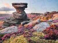 Wzgórze, Anglia, Formacja skalna Salt Cellar, Skały, Park Narodowy Peak District, Wrzosowisko, Kamienie, Hrabstwo Derbyshire