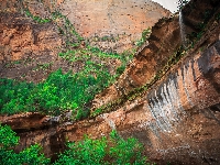 Drzewa, Skały, Stany Zjednoczone, Park Narodowy Zion, Zielone, Stan Utah