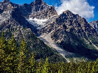 Park Narodowy Banff, Lasy, Kanada, Góry Skaliste, Drzewa, Prowincja Alberta