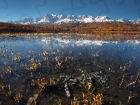 Jezioro, Odbicie, Góry, Las, Trawa