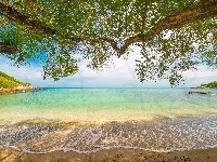 Piasek, Morze, Plaża, Drzewa