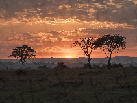Kisoro, Chmury, Afryka, Zachód słońca, Drzewa, Uganda