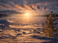 Śnieg, Drzewo, Norwegia, Ośnieżone, Zima, Zachód słońca, Ringerike