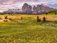 Dolomity, Góry Sassolungo, Łąki, Drzewa, Włochy, Domki, Dolina Val Gardena, Płaskowyż Seiser Alm, Chmury