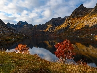 Jezioro, Drzewa, Jesień, Góry, Kolorowe
