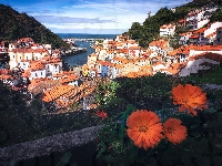 Domy, Wzgórza, Kwiaty, Cudillero, Hiszpania, Dachy, Zalesione, Pomarańczowe, Asturia