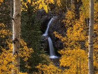 Las, Stany Zjednoczone, Nellie Creek Falls, Drzewa, Wodospad, Jesień, Brzozy, Kolorado