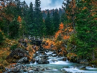 Jesień, Kamienie, Rzeka, Pożółkłe, Drzewa, Las, Zielone, Mostek