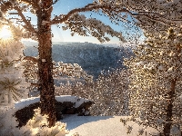 Drzewa, Słońce, Zima, Góry, Śnieg