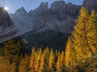 Włochy, Drzewa, Góry, Dolomity, Jesień