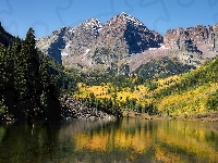 Góry Skaliste, Stany Zjednoczone, Drzewa, Góry Skaliste, Drzewa, Jezioro Maroon Lake, Szczyty Maroon Bells, Kolorado