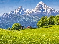 Góry Alpy, Las, Dom, Niemcy, Park Narodowy Berchtesgaden, Bawaria, Drzewa
