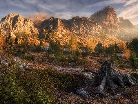 Góry, Drzewa, Włochy, Jesień, Przełęcz Falzarego Pass, Dolomity, Korzeń