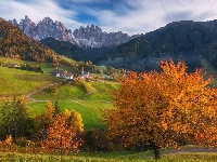 Santa Maddalena, Drzewa, Jesień, Droga, Wieś, Włochy, Góry, Jesienne, Lasy, Dolomity, Dolina Val di Funes, Domy