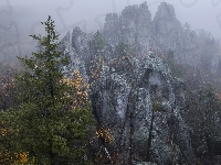 Drzewa, Góry, Skały, Mgła