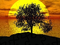 Morze, Drzewo, Zachód słońca, 2D