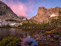 Jezioro, Stany Zjednoczone, Park Narodowy Gór Skalistych, Dream Lake, Drzewa, Góry, Kamienie, Kolorado