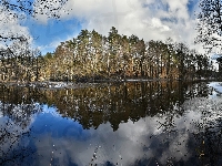 Śnieg, Odbicie, Jezioro, Drzewa, Chmury