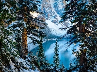 Prowincja Alberta, Góry, Zima, Jezioro Moraine, Kanada, Park Narodowy Banff, Drzewa