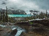 Canadian Rockies, Góry Skaliste, Strumyk, Mgła, Kanada, Skały, Jezioro Berg Lake, Drzewa, Kolumbia Brytyjska