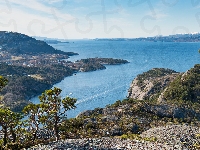 Drzewa, Wybrzeże, Norwegia, Fiord Husnesfjorden, Skały, Wyspa Skorpo