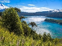Góry, Jezioro, Drzewa, Chile