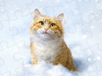 Zima, Rudy, Kot, Śnieg