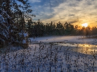 Drzewa, Zachód słońca, Przyrody, Arvika, Las, Szwecja, Zima, Śnieg, Rezerwat, Rzeka, Trawy, Glaskogen