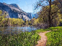 Drzewa, Góry, Wiosna, Rzeka Merced River, Stany Zjednoczone, Trawa, Park Narodowy Yosemite, Ścieżka, Kalifornia