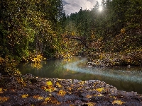 Jesienne, Stany Zjednoczone, Skały, Drzewa, Most Moulton Falls Bridge, Las, Rzeka Lewis River, Stan Waszyngton