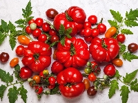 Duże, Listki, Pomidory, Czerwone, Małe