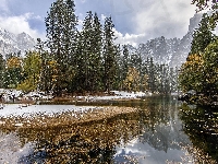 Rzeka, Stany Zjednoczone, Park Narodowy Yosemite, Tuolumne River, Góry, Zima, Drzewa, Kalifornia