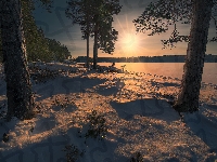 Drzewa, Promienie słońca, Norwegia, Śnieg, Zima, Jezioro, Ringerike