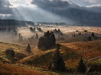 Płaskowyż Seiser Alm, Chmury, Drzewa, Przebijające światło, Włochy, Góry, Dolomity, Wschód słońca, Dolina Val Gardena, Domy