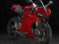 Ducati 1199 Paginale