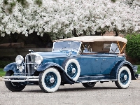 Kwitnące, Drzewa, Droga, Lincoln, Sportowy, Zabytkowy, Phaeton, 1931